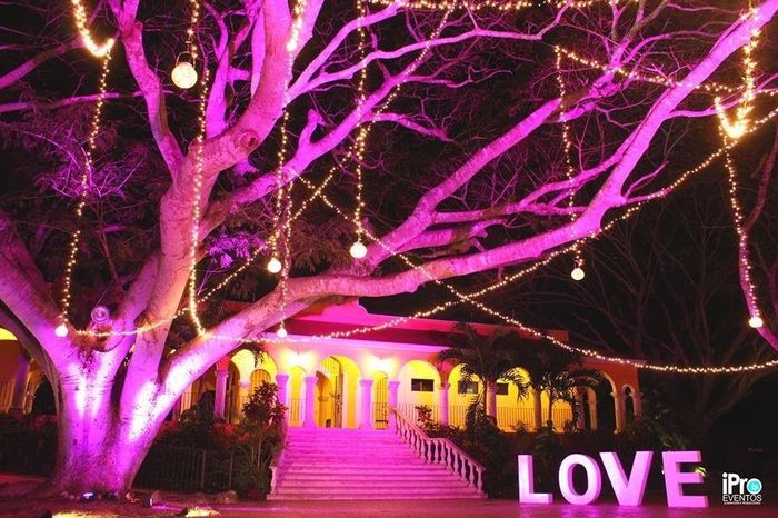 Que opinan???