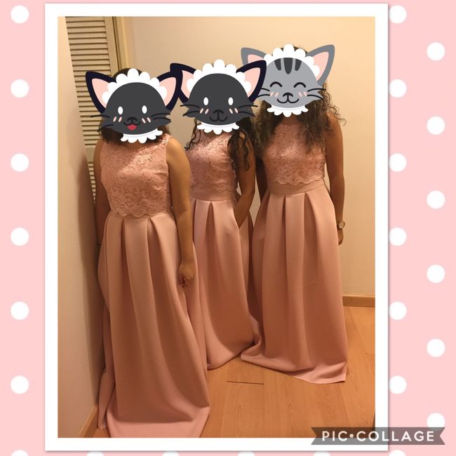  Así me fue en busca de losvestidos de las damas!!! - 5