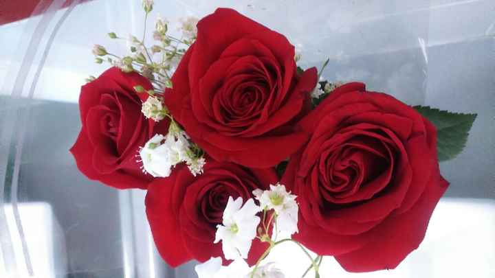 4 meses, 4 rosas - 1