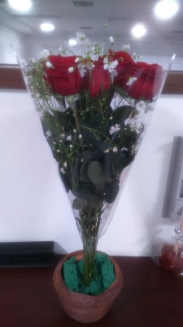 7 rosas
