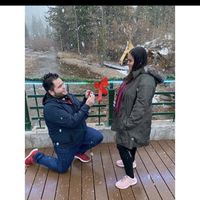 ¿Tu propuesta de matrimonio fue lo que te imaginabas? 🎁 - 1