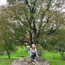 Ynzž