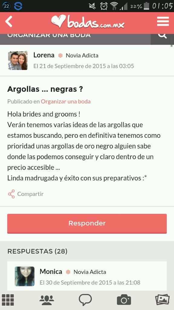 Argolla de titanio - 1