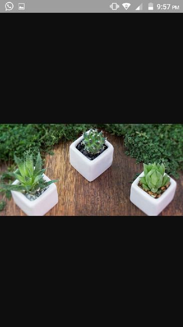 Donde comprar ! o.o ? - 1