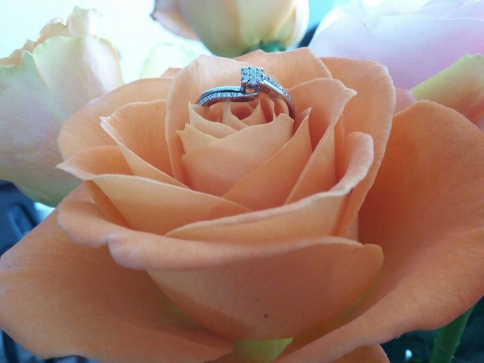 Feliz y nerviosa !! - 16