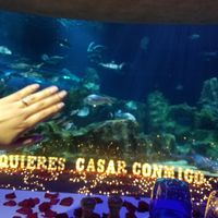 CONCURSO DE PINTEREST: Sube foto de tu anillo de compromiso💍 - 2