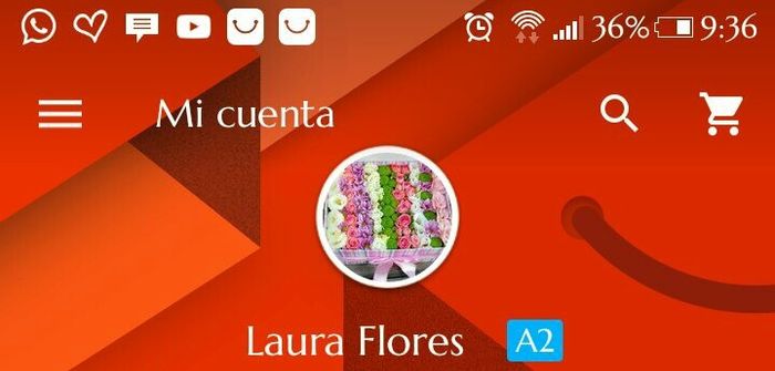 Guía completa de cómo comprar en AliExpress. Dudas resueltas. - 1