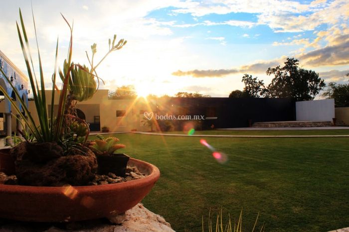 hacienda sayab-ha 16