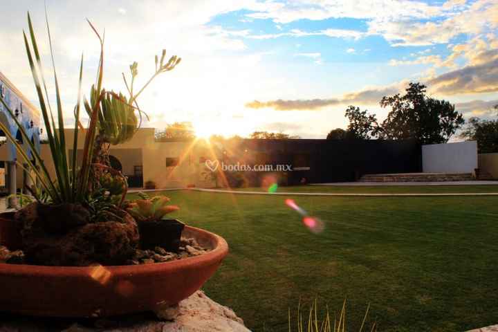 hacienda sayab-ha 16