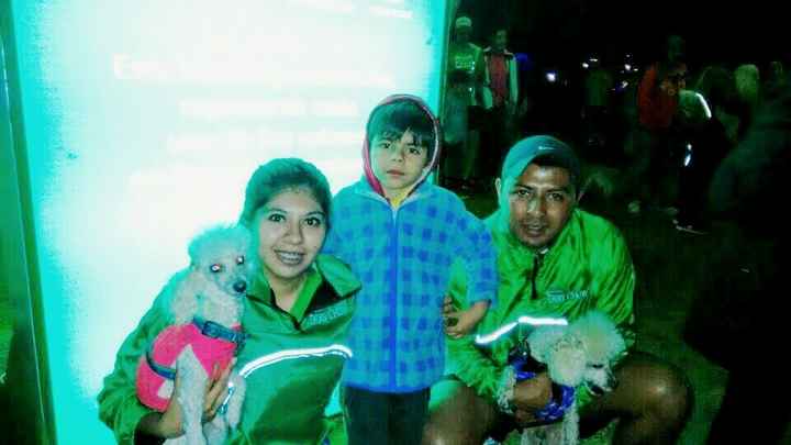 Perrotón Dow Chow junto con nuestro primo y perritos