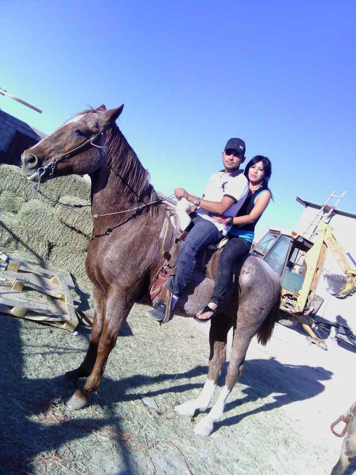 Ayudenme xfavoor chiicas!! - 3