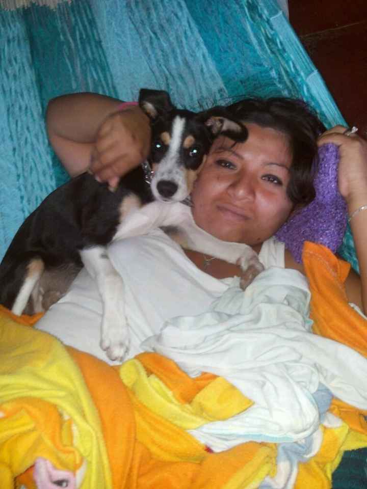 Sesión con mascotas!! - 1