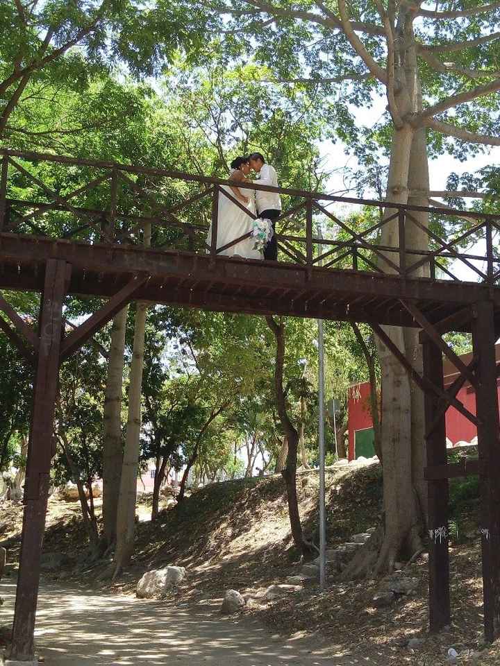 Secion de fotos de hoy - 1