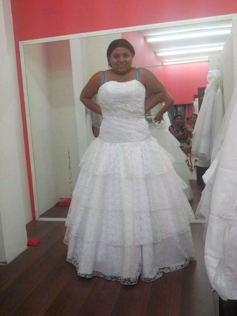 El vestido. - 1