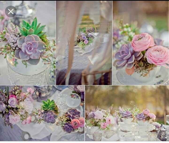  Centros de Mesa con Suculentas - 1