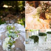  Centros de Mesa con Suculentas - 2