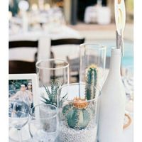  Centros de Mesa con Suculentas - 3
