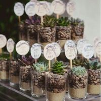  Centros de Mesa con Suculentas - 4