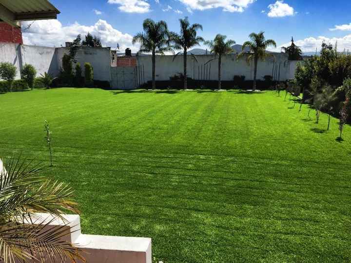 más jardín 