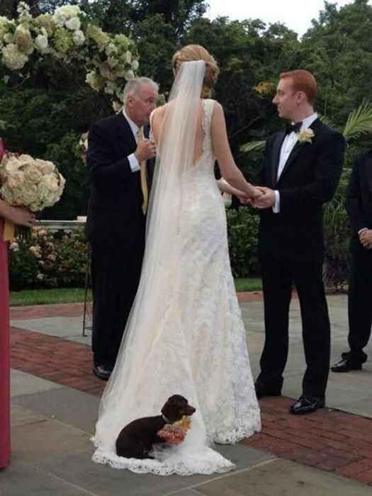 Amantes de los cachorros 