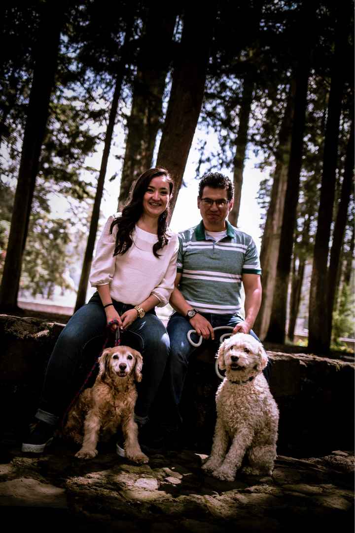 Save the date peludo - 1