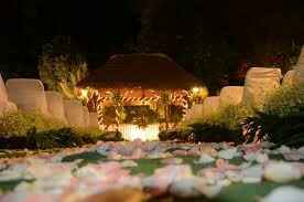 ¿quién se casa o se casó en jardín en cdmx? - 6