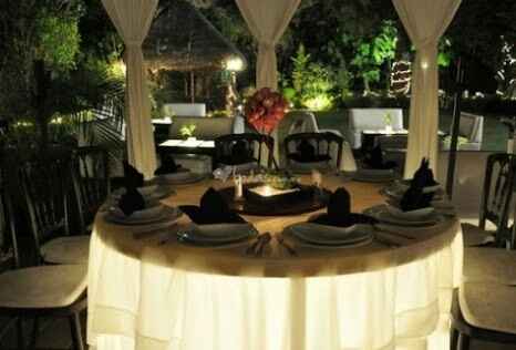 ¿quién se casa o se casó en jardín en cdmx? - 7