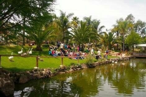 Bodas hacienda jalisco - 5