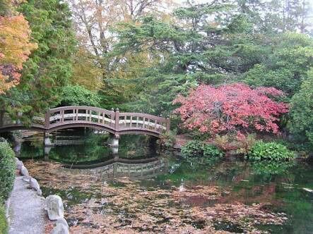 Donde hacer el save the date - 4