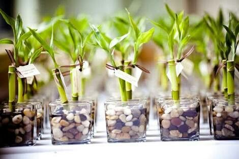 Bodas eco amigables ❤ - 4