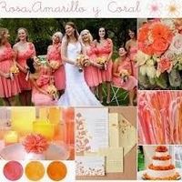 Difícil desicion !!!!! Ayuda !!!! - 3