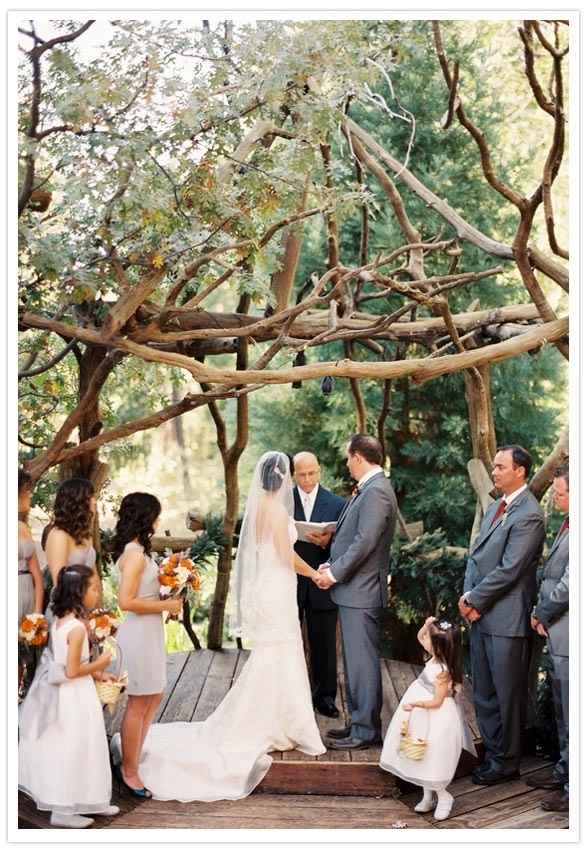 bodas en el bosque 