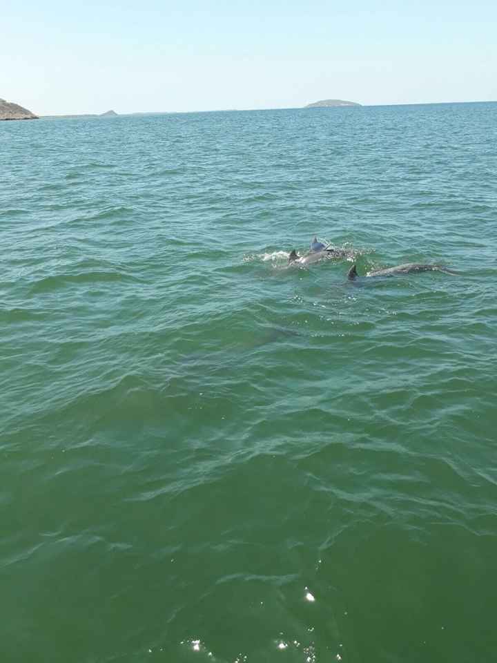 Mi bacheloret party en yate! - 9