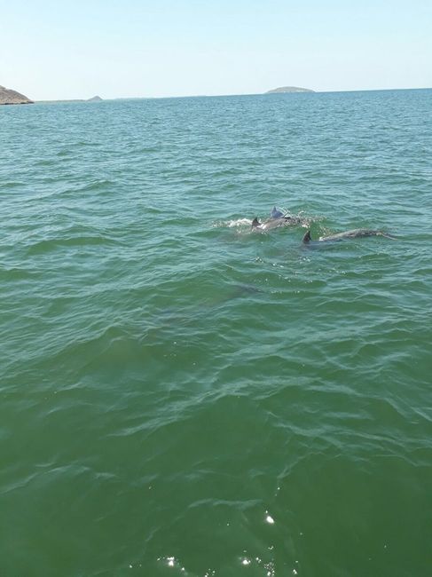 Mi bacheloret party en yate! - 9