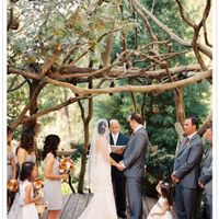 bodas en el bosque 