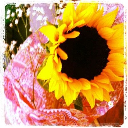 Mi Girasol!!!!