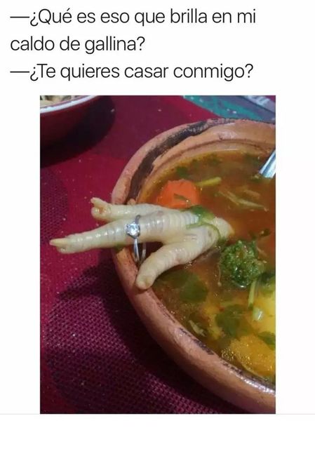 En un caldo de gallina
