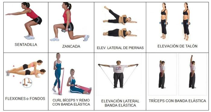 Ejercicio  5