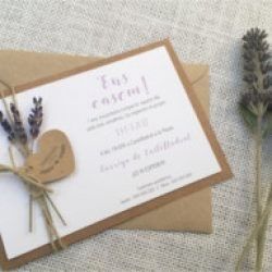 LAVANDA ...