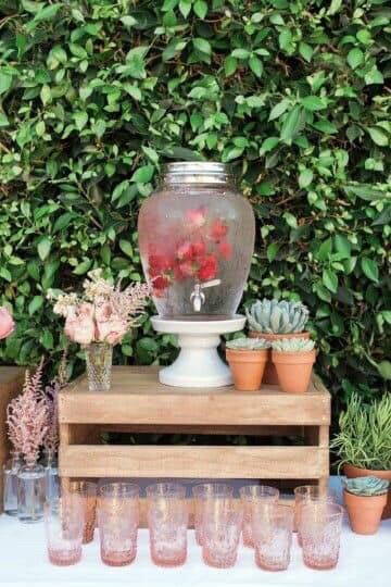 Aguas frutales - 4