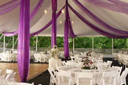 Color boda en jardin invierno ?? - 3