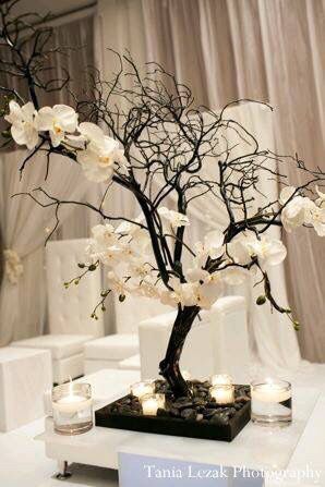 Boda en blanco y negro 🎩 - 11