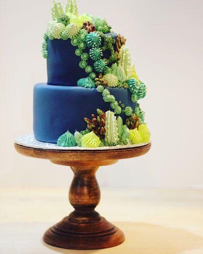 Pastel de Cactus - 6