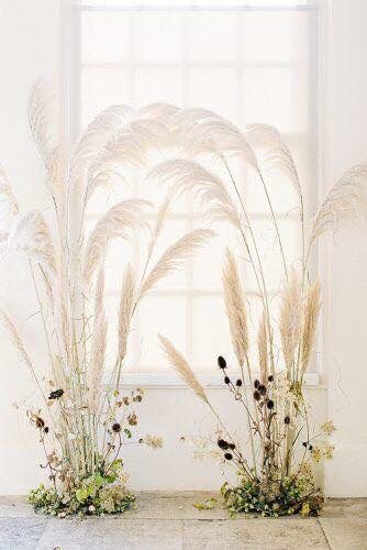 Pampas como decoración - 1