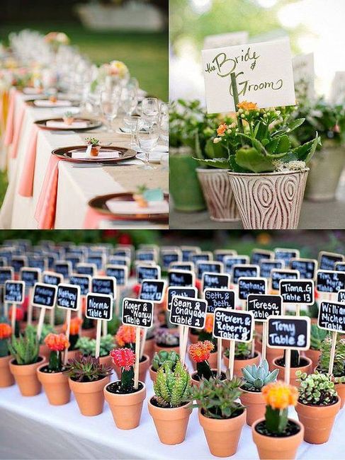 Plantitas como recuerdo - 7
