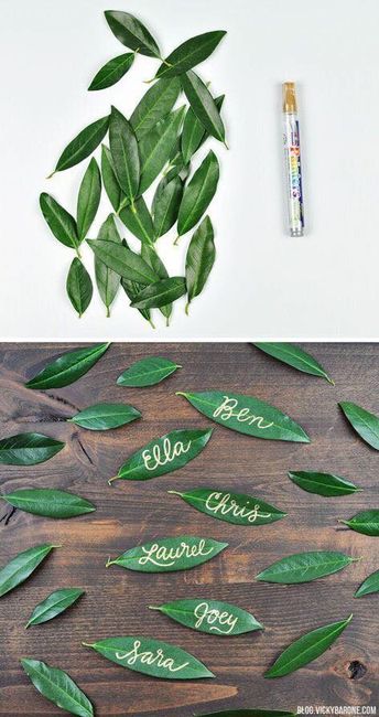Plantas en La mesas - 9