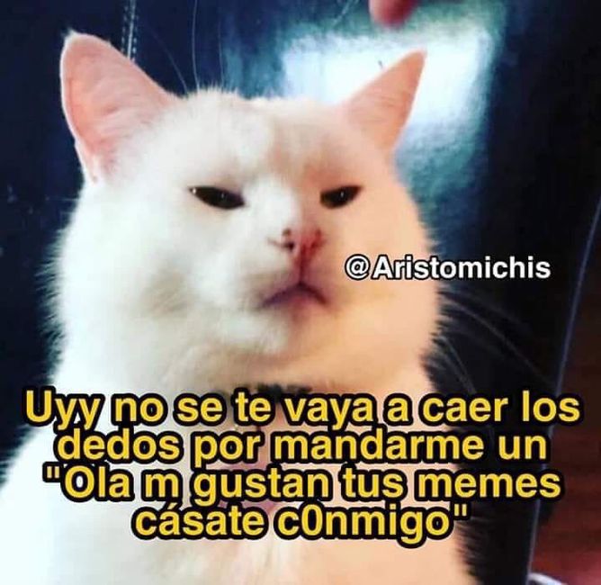 Martes gracioso - 1