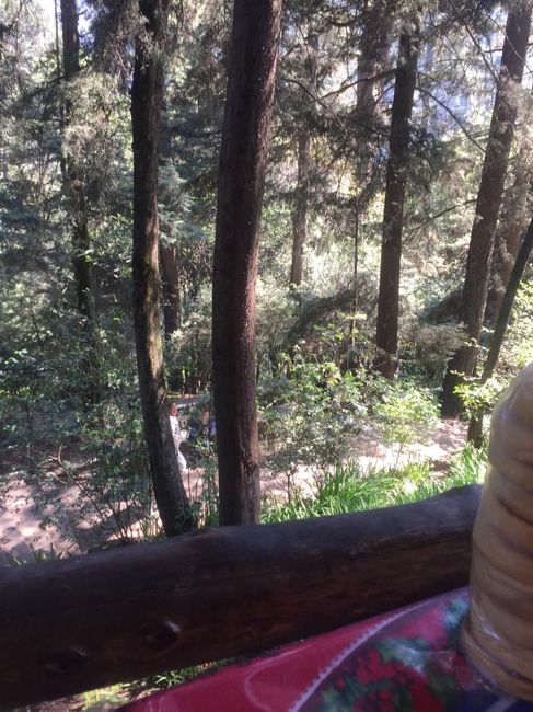 Problemas con el lugar de la sesión  "Save the Date" 3