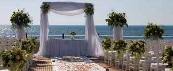 PARADISE