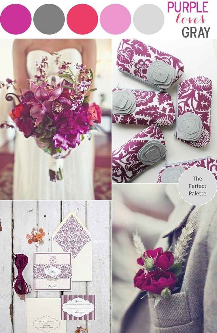 MORADO 5